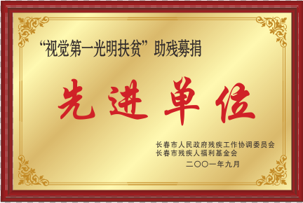 2001视觉第一灼烁扶贫助残募捐先进单位